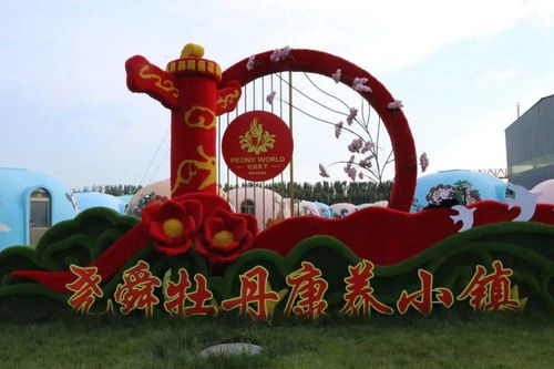 初心印薊 產業興鎮——楊津莊鎮以牡丹花產品深加工做強特色農產品及康養休閑產業