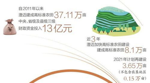 不再春怕旱秋怕澇 澄邁高標準農田建設助力農業提質增效