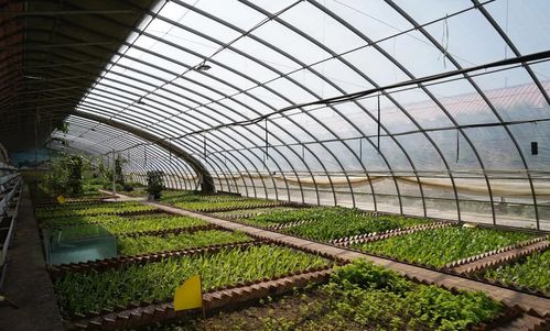 榆中縣堅持“四生融合”理念，夯實農業基礎設施建設和美鄉村